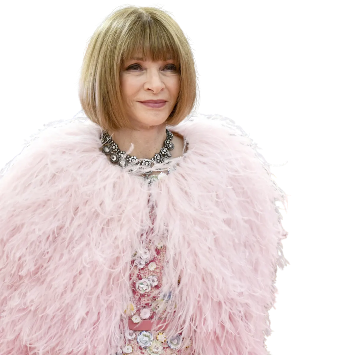 anna wintour at the met gala. she is shockingly without her iconic glasses and wrapped in a fuzzy pink coat that compliments the pink color of the title